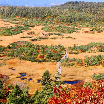 岩木山 と 八甲田山