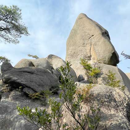 竹生島 と 金勝アルプス