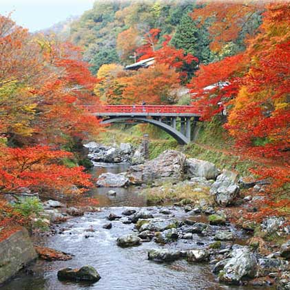 京都トレイル『西山』