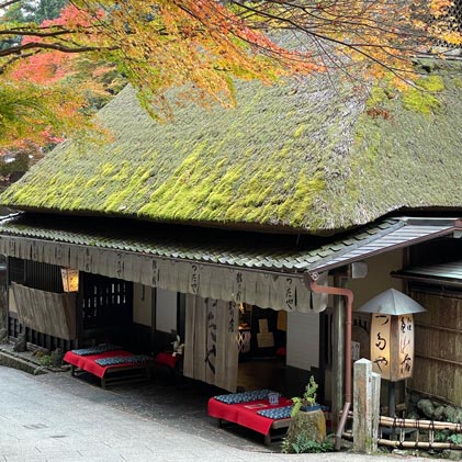 京都トレイル『西山』