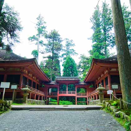 京都トレイル『北山東』