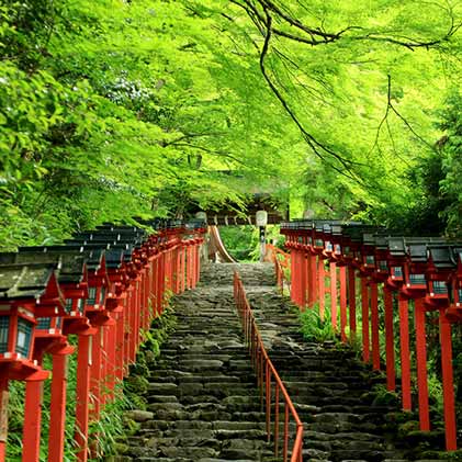 京都トレイル『北山東』