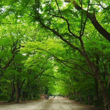 京都トレイル『北山東』