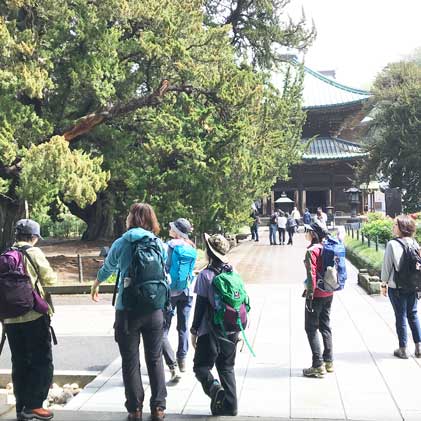 忘年山 鎌倉アルプス