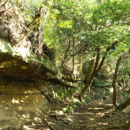 忘年山 鎌倉アルプス