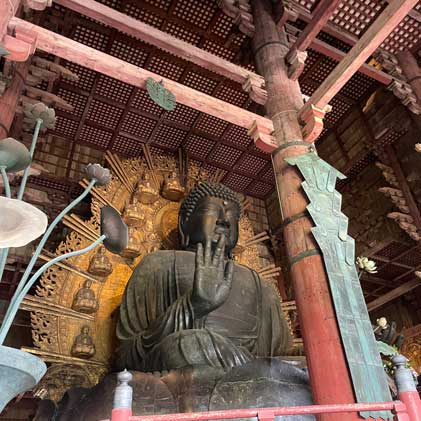 奈良巡り と 曽爾高原