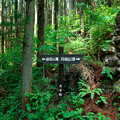 月居山 と 袋田ノ滝
