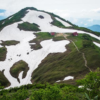 朝日岳＝雪倉岳＝白馬岳 縦走